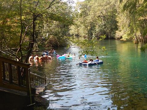 paddling Suwannee River, Manatee Springs SP