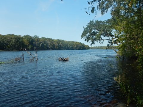 paddling Suwannee River, Usher Landing