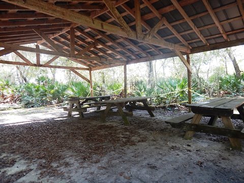 paddling Suwannee River, Usher Landing