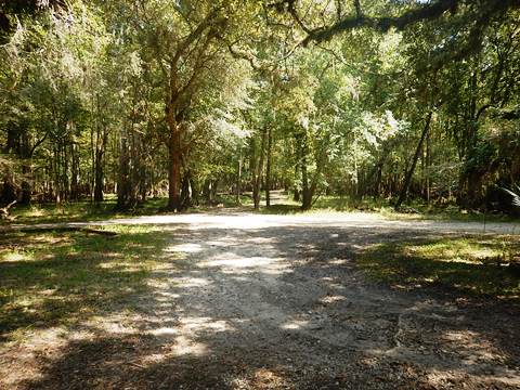 paddling Suwannee River, Usher Landing