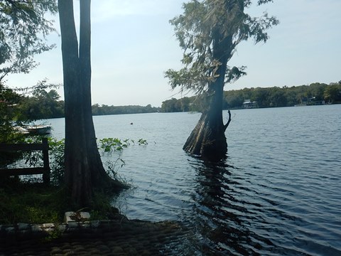 paddling Suwannee River, Camp Azalea