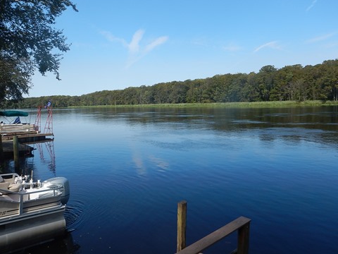 paddling Suwannee River, Fowlers Bluff