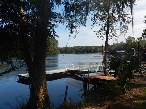 paddling Suwannee River, Fowlers Bluff