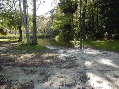 paddling Suwannee River, Munden Creek