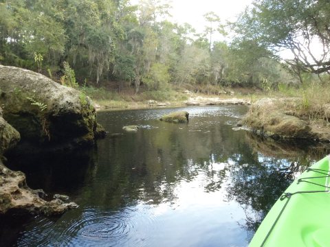 paddling Suwannee River, Wayside Park