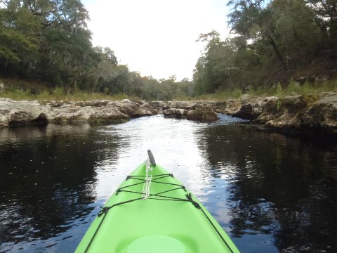 paddling Suwannee River, Wayside Park