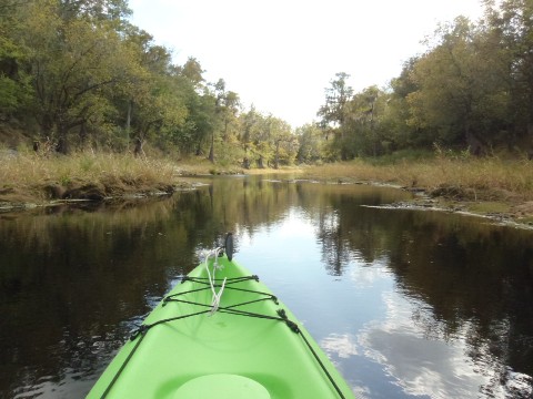 paddling Suwannee River, Wayside Park