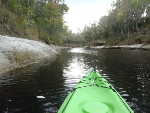 paddling Suwannee River, Wayside Park