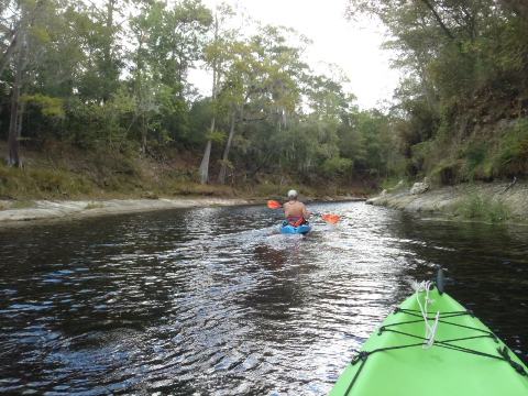 paddling Suwannee River, Wayside Park