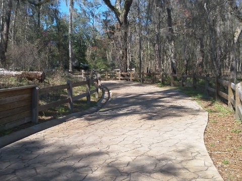 paddling Suwannee River