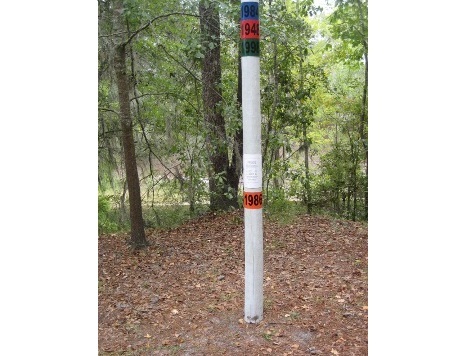 paddling Suwannee River