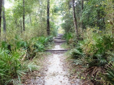 paddling Suwannee River, Suwannee Springs