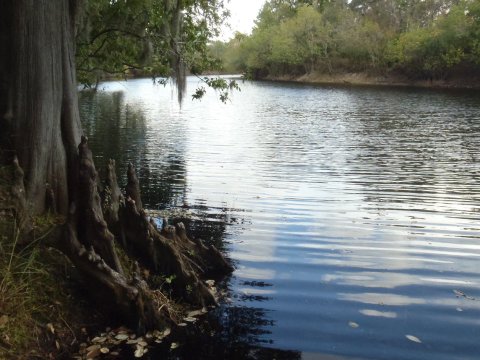 paddling Suwannee River, Suwannee Springs