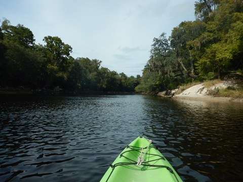 paddling Suwannee River State Park