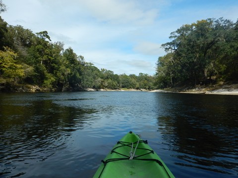 paddling Suwannee River State Park