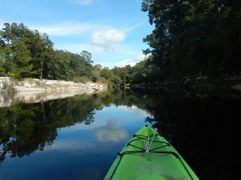 paddling Suwannee River State Park