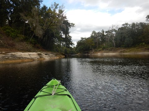 paddling Suwannee River State Park