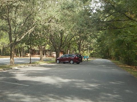 Suwannee River State Park