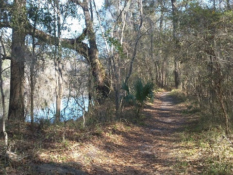 Suwannee River State Park