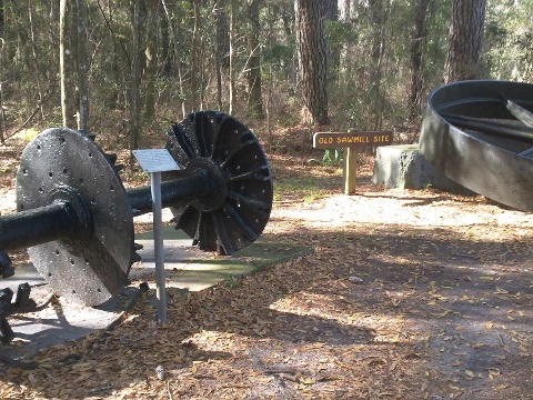 Suwannee River State Park