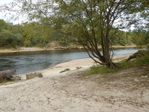 Suwannee River Dowling Park