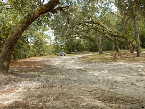 Suwannee River Dowling Park