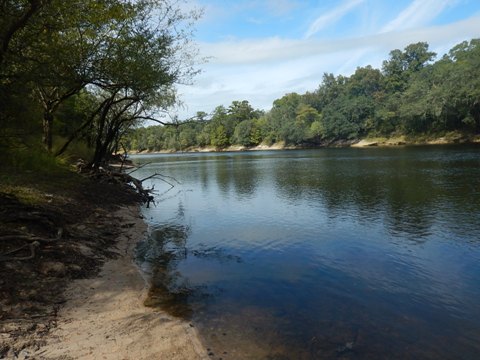 Suwannee River Sims Landing