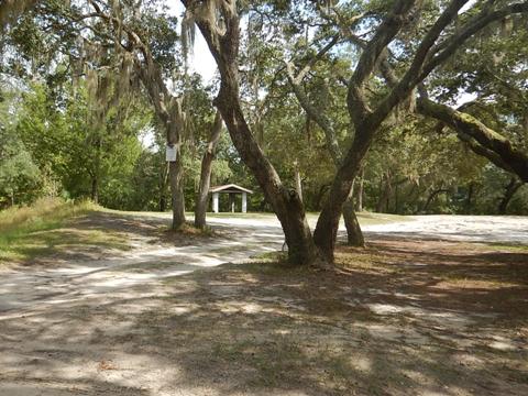 Suwannee River Sims Landing