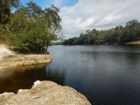 Suwannee River Lafayette Blue Spring