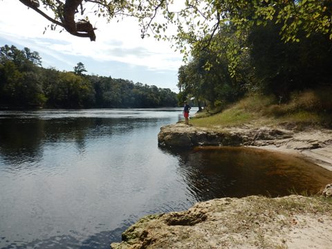 Suwannee River Lafayette Blue Spring