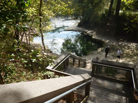 Suwannee River Lafayette Blue Spring