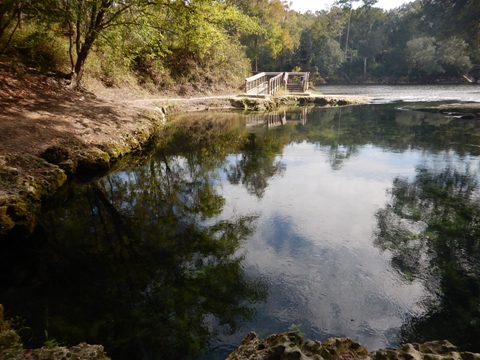 Suwannee River Lafayette Blue Spring