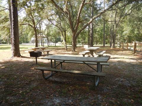 Suwannee River Lafayette Blue Spring