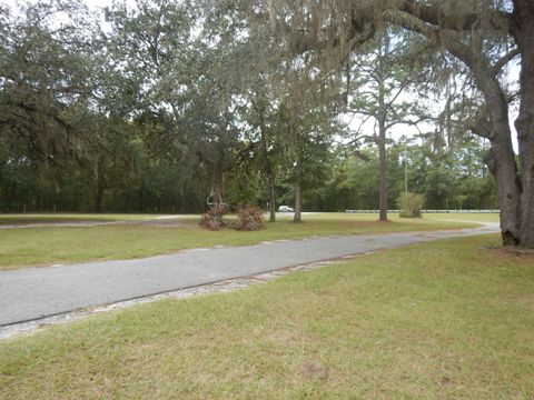 Suwannee River Hal Adams Bridge