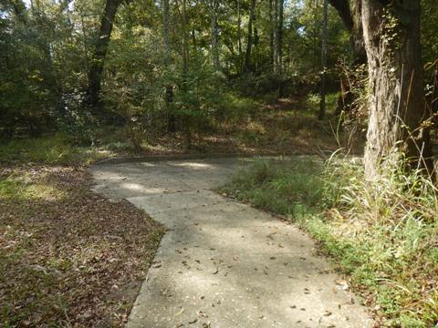 Suwannee River Troy Springs