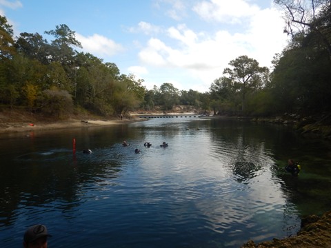 Suwannee River Troy Springs