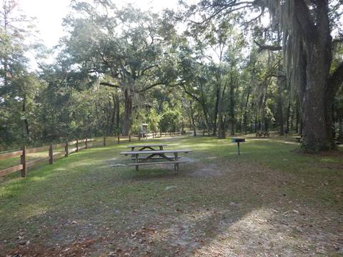 Suwannee River Troy Springs