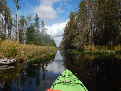 paddling Suwannee River, Stephen C. Foster SP, Georgia