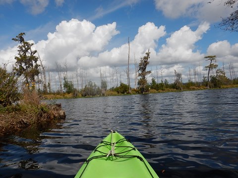 paddling Suwannee River, Stephen C. Foster SP, Georgia