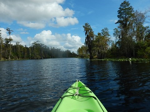 paddling Suwannee River, Stephen C. Foster SP, Georgia