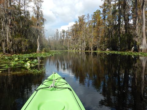 paddling Suwannee River, Stephen C. Foster SP, Georgia