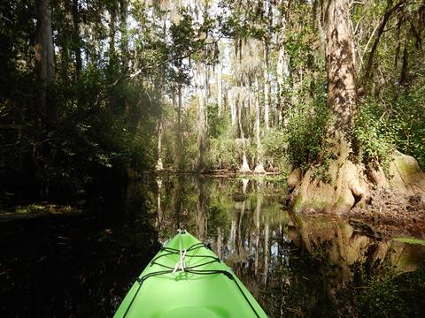 paddling Suwannee River, Stephen C. Foster SP, Georgia