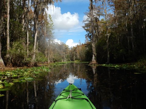 paddling Suwannee River, Stephen C. Foster SP, Georgia