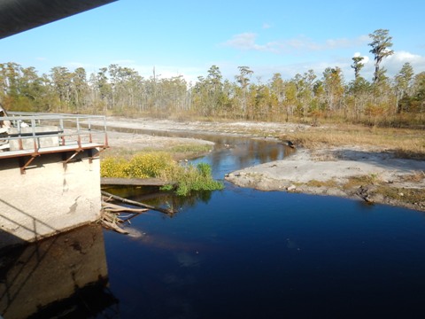 paddling Suwannee River, Griffis Fish Camp