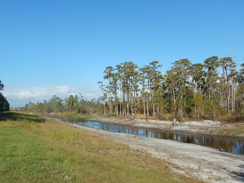 paddling Suwannee River, Griffis Fish Camp