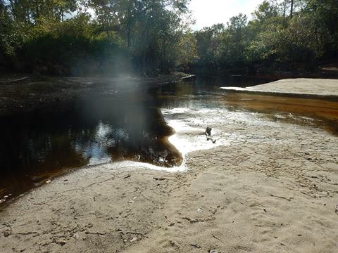 paddling Suwannee River, Griffis Fish Camp