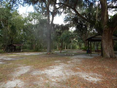 paddling Suwannee River, Griffis Fish Camp