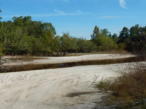 paddling Suwannee River, Fargo, GA