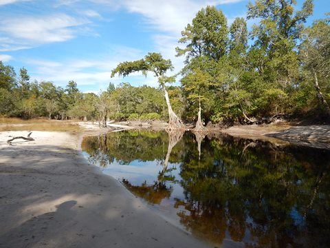 paddling Suwannee River, Fargo, GA