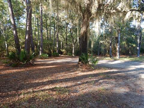 paddling Suwannee River, Roline Boat Ramp